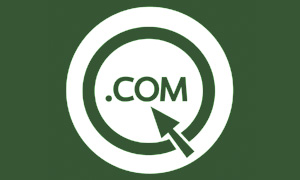 做企業(yè)網(wǎng)站與個(gè)人網(wǎng)站注冊(cè)域名需要哪些資料
